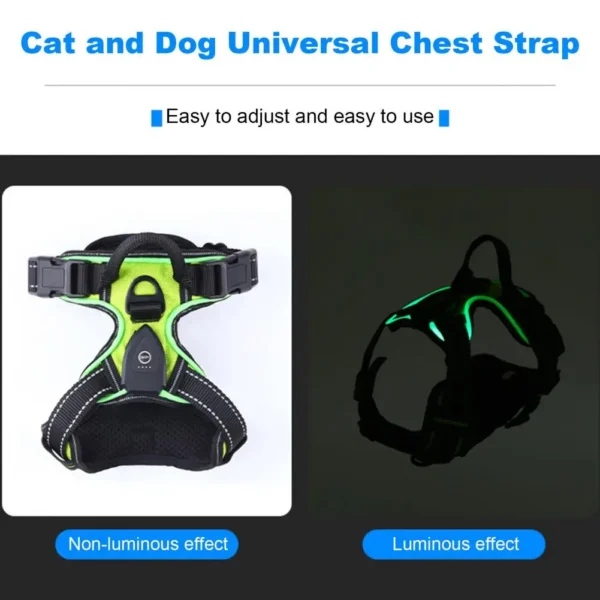 Pet Harness Rechargeable Led Dog Harness for Night Walking Adjustable Glow Vest for Small Medium Dogs Pet Chest Strap Soft Dog - Image 3