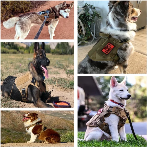 Heavy Duty Hunting Large Dog Harness German Shepherd Malinois Training Vest Tactical Dog Harness And Leash Set - Image 6