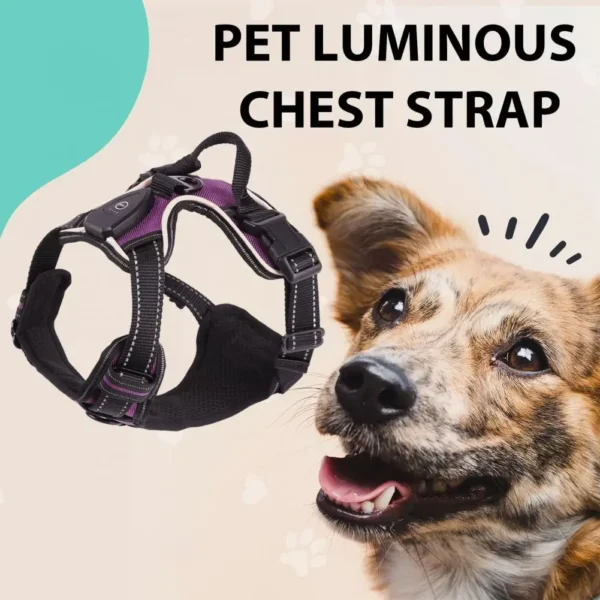 Pet Harness Rechargeable Led Dog Harness for Night Walking Adjustable Glow Vest for Small Medium Dogs Pet Chest Strap Soft Dog - Image 4