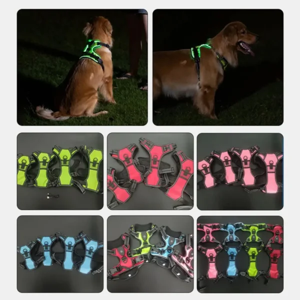 Pet Harness Rechargeable Led Dog Harness for Night Walking Adjustable Glow Vest for Small Medium Dogs Pet Chest Strap Soft Dog - Image 5