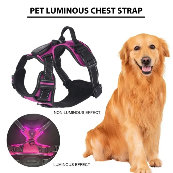 Pet Harness Rechargeable Led Dog Harness for Night Walking Adjustable Glow Vest for Small Medium Dogs Pet Chest Strap Soft Dog - Image 2