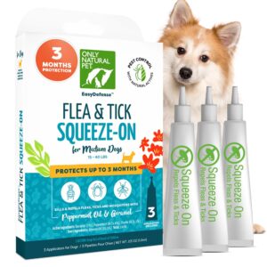 Flea & Tick Treatment